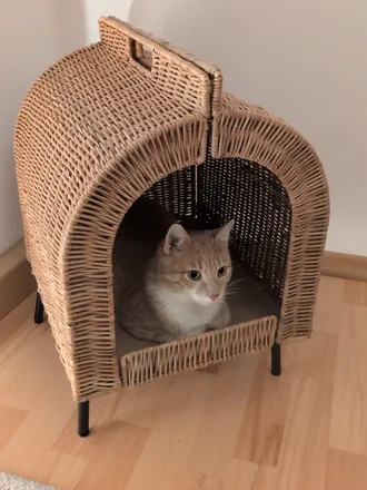 Mango lying inside a wicker cat house