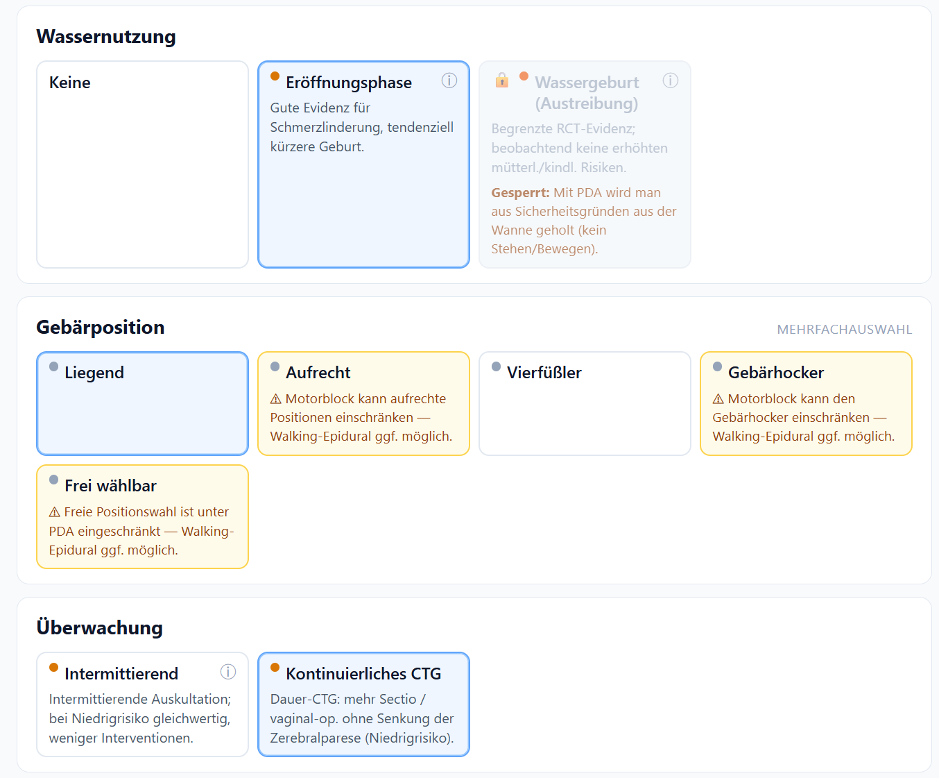 Birth Decisions Explorer preview